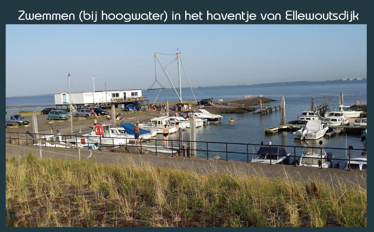 Vakantiewoning Deltahof Ellewoutsdijk Extérieur photo