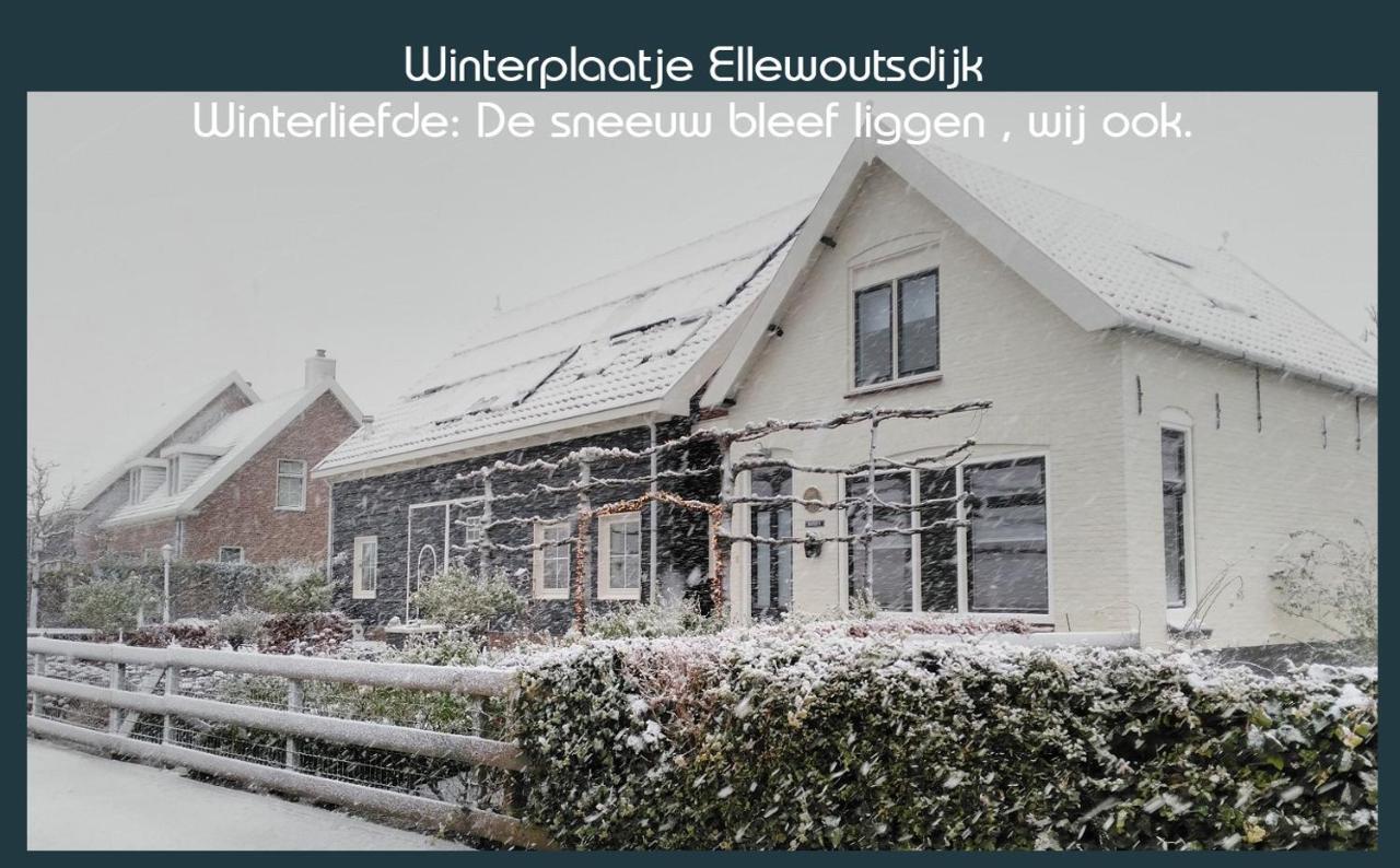 Vakantiewoning Deltahof Ellewoutsdijk Extérieur photo
